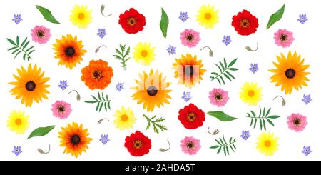 Full frame abstract floral background - mix of colorful summer flowers and green leaves on a white background. Stock Photo