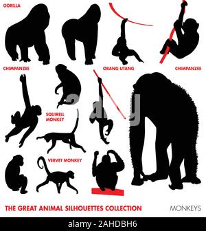 high detailed monkey vector silhouettes collection Stock Vector