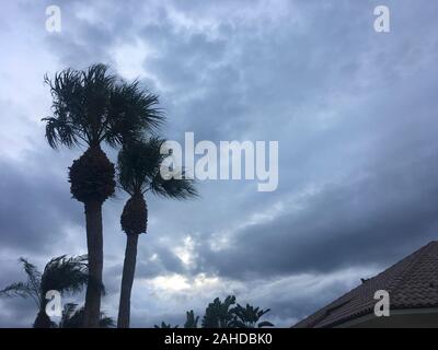 grey sky of hurricane in Florida Stock Photo