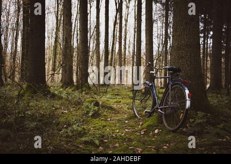 Old bike leaning against a tree down in the woods Stock Photo