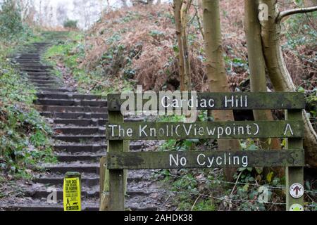 Cardiac Hill at Shorne Country Park in Kent.UK. Steps lead up a steep hill which is part of a circular walk at the park. Stock Photo