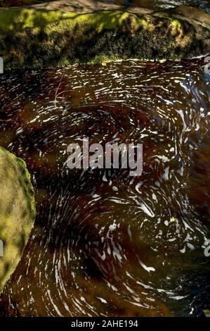 Swirling patterns of foam on the surface of a stream in bright sunshine