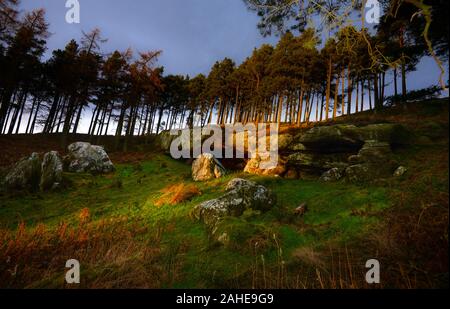 In the Kyloe Hills hides St Cuthbert’s Cave with the last rays of light striking the cave - its nearest hamlet is Holburn, between Belford and Wooder. Stock Photo