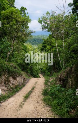 Dirt road through the green jungle mountains with trees of Peten vertical, El Remate, Guatemala Stock Photo