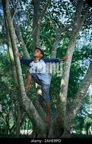 Little boy playing at tropical rainforest Stock Photo - Alamy