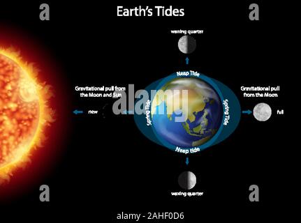 Diagram showing earth tides with earth and sun illustration Stock Vector