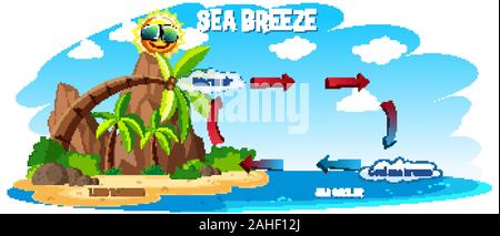 Diagram showing sea breeze with ocean and land illustration Stock Vector