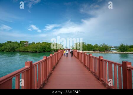 The mangrove tree within a blissful of sunshine at Pulau Burung, Pantai Cahaya Negeri, Port Dickson Stock Photo