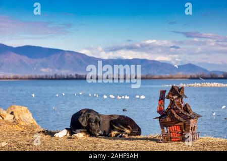 handmade old wooden miniature mountain house by the lake next to a guard dog. shallow DOF Stock Photo