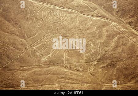 Aerial view of a monkey with a spiral tail. The Nazca Lines are a group of very large geoglyphs formed by depressions or shallow incisions made in the Stock Photo