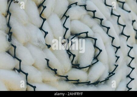 Close up to natural white silkworm cocoon shell in black plastic weave tray. Silkworm cocoon background. Stock Photo