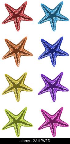 Set of starfish in different colors illustration Stock Vector