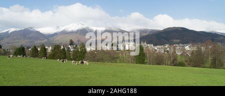 Keswick town from Crow Park with Herdwick sheep in the foreground and snowy fells to the north Stock Photo