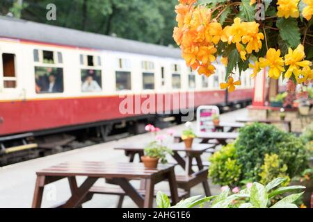 Carriages of a steam train about to leave the platform at Haverthwaite, the Lakeside and Haverthwaite Railway, The Lake District, Cumbria Stock Photo