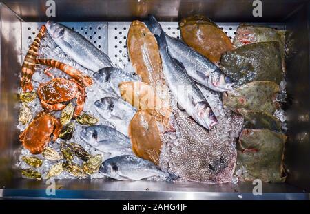 High Angle Still Life of Variety of Raw Fresh Fish Chilling on Bed of Cold Ice in Seafood Market Stall. Stock Photo