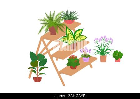 Wooden ladder with houseplants in pots. Vector flat style illustration. Isolated on white. Stock Vector
