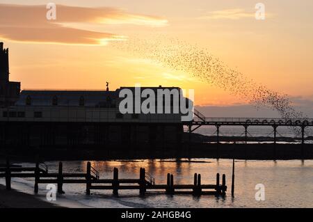 Aberystwyth Ceredigion, Wales, UK December 29 2019: Starling Mumuration display over the oldest pier in Wales. Stock Photo