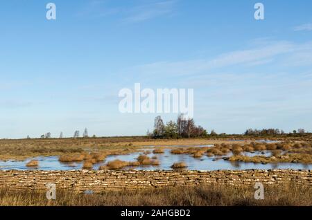 Flooded landscape by an old dry stone wall in the swedish world heritage site at southern Oland Stock Photo
