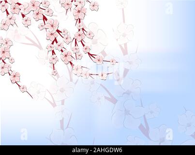 Sakura on light background. Sakura vector flower. Vector floral print. Blooming cherry blossom petals. Japanese culture. Floral design. Blooming tree Stock Vector