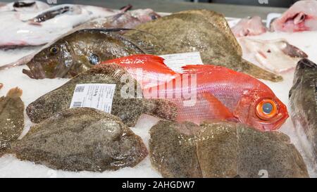 Fresh fish on display in the Mercado de Abastos in Santiago de Compostela, Spain. The city is the terminus of the Way of St. James, the ancient Cathol Stock Photo