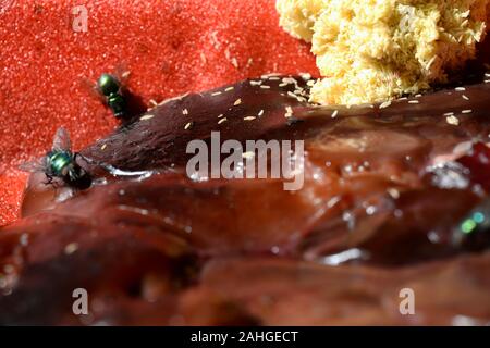Green flies "blow flowers" with laid eggs on the edge of a tray of fresh chicken liver. Expectation of product deterioration, inherent nature. Lightni Stock Photo
