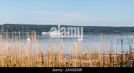 Panorama of Lake Ammersee with paddle steamer / ship 'Diessen'. Yellow reed in the foreground. The area around Lake Ammersee attracts many tourists. Stock Photo