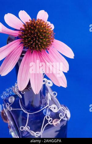One flower head of a pink coneflower in full bloom with its stem in a blue colored hand decorated glass vase. The background is textured fabric. Stock Photo