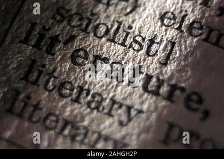 Word 'literature' printed on book page, close-up Stock Photo