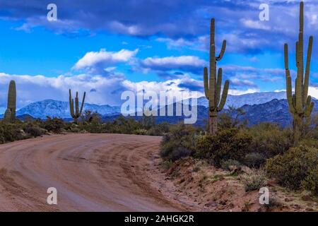 Rugged Forest Road in the Four Peaks Wilderness Recreation Area Arizona With Snow on Mountains Stock Photo