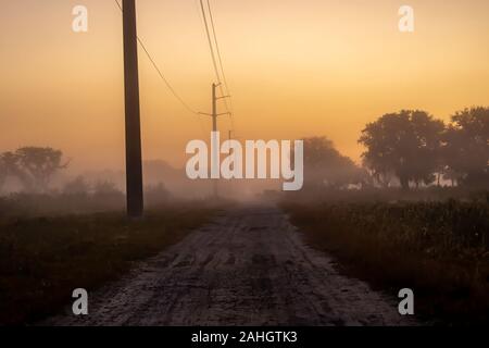 Remote gravel road in Florida as the sun rises on a foggy morning Stock Photo