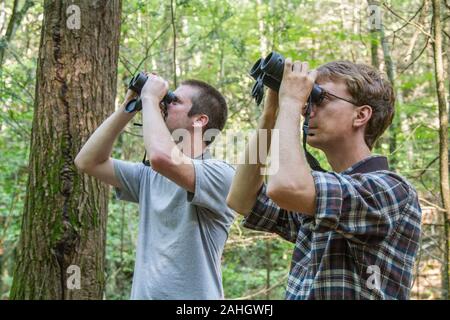 Two young men birdwatching in the woods Stock Photo