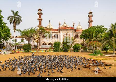 Karachi Masjid Aram Bagh Mosque Picturesque View from the Park with Flock of Pigeons Eating Food on a Cloudy Day Stock Photo