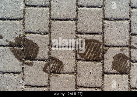 Wet footprints from shoes on the dry surface of paving slabs Stock Photo