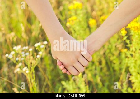 Friendship of two child girls, close-up hands of children holding together, walking in summer meadow Stock Photo