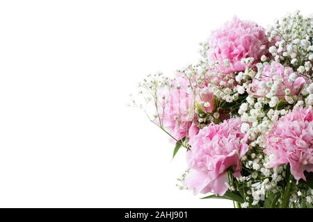 Pink flowering bouquet of Peonies and Baby's Breath flowers over a white background  with free space for your text. Stock Photo