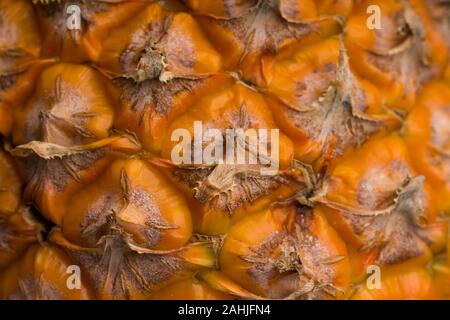 Close-up of the skin of a ripe pineapple. Fresh pineapple texture Stock Photo