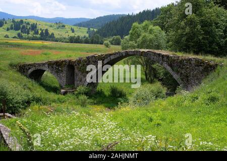 Bulgaria, old stone bridge near Dospat Stock Photo