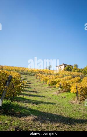 Vinegar and Wine in Italy, Emilia Romagna, Balsamic Vinegar Farm Stock Photo