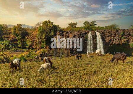 The Blue Nile Falls in Bahir Dar, Ethiopia Stock Photo