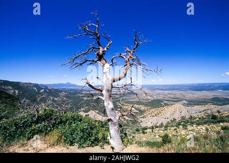 Mancos Valley Overlook, Mesa Verde, Colorado Stock Photo