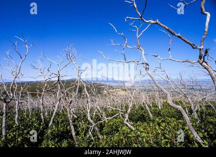 Mancos Valley Overlook, Mesa Verde, Colorado Stock Photo