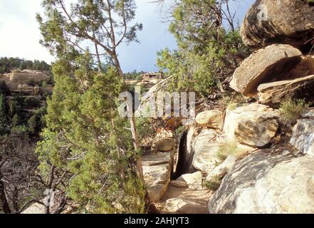 Chapin Mesa Museum, Spruce Canyon Trail, Mesa Verde, Colorado Stock Photo