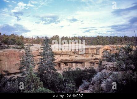 Spruce Tree House, Mesa Verde, Colorado Stock Photo