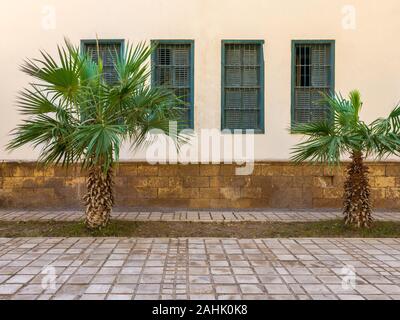 Two small palm trees and tiled stone floor in front of beige wall, and four green window shutters Stock Photo