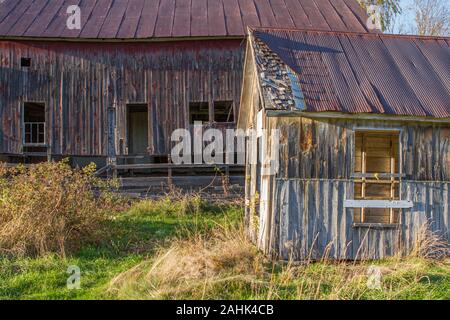 Old barns at the Bullitt Farm in Ashfield, Massachusetts Stock Photo