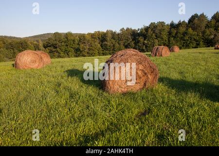 Bullitt Farm in Ashfield, Massachusetts Stock Photo