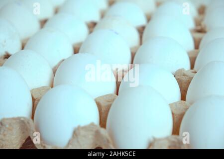 White chicken eggs in a paper tray Stock Photo