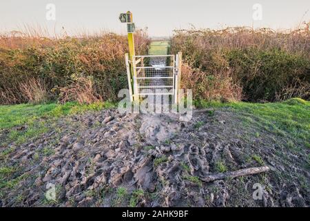 Thick mud with footprints approaching a metal stile gate in a deep hedgerow in winter on a public footpath across a farmer's field with signposts Stock Photo