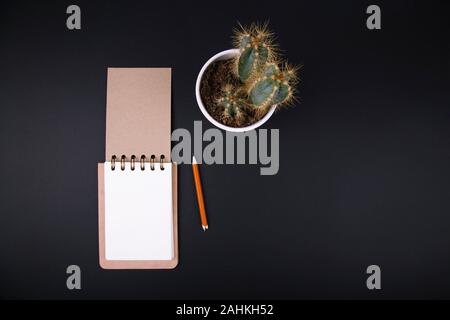 Top view image of open notebook with blank pages next to cactus on black. Ready for adding text or mock-up. Retro filtered Stock Photo