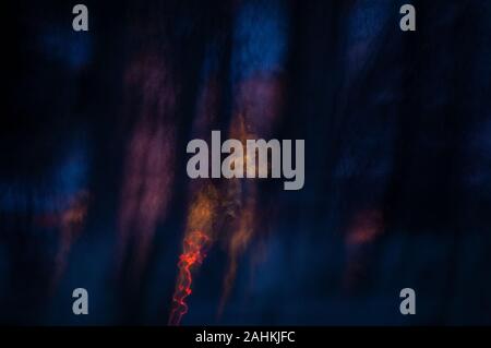 Abstract Forest Fire at Night Dark Background Stock Photo